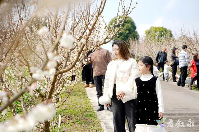 春晚《贺花神》里的这些花在泸州被唤醒了,还有重磅活动在等你→(图14) 14.jpg