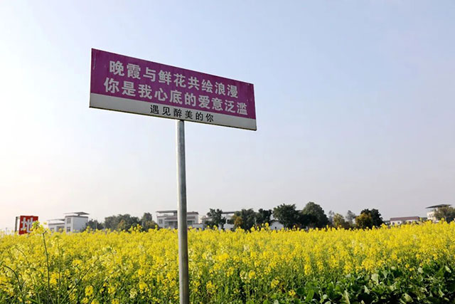 春晚《贺花神》里的这些花在泸州被唤醒了,还有重磅活动在等你→(图22) 22.jpg