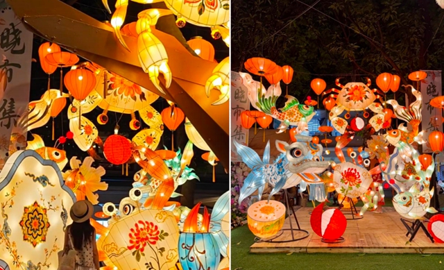 正月十五,泸州北滨公园,精彩继续→(图7) 7.jpg