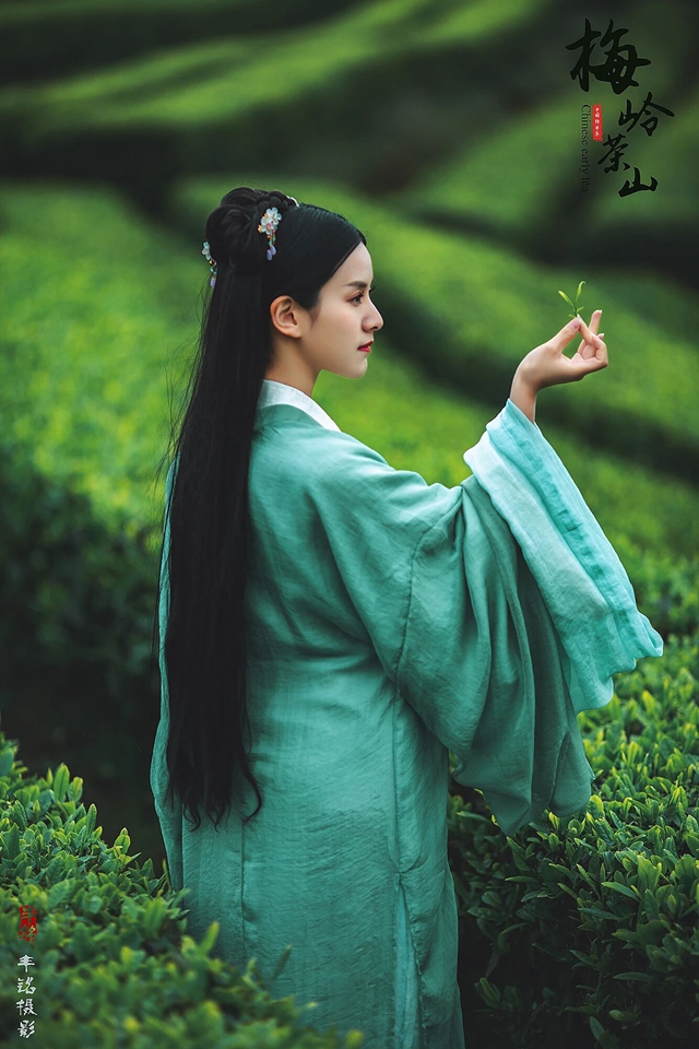 “镜观特早茶乡 品味中国春天”短视频、摄影比赛启动,纳溪邀你来打卡→(图8) 8.jpg