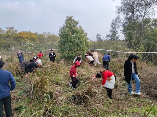 田园藏乐趣 文旅促振兴|泸县天兴镇鸵鸟田园会圆满落幕(图6) 天6.jpg