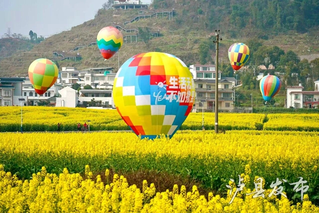 金色花海遇非遗!泸县这场春日盛宴即将启幕(图3) 3.jpg