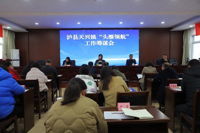 泸县天兴镇组织召开“头雁领航”工作筹谋会(图1) 罗1.jpg