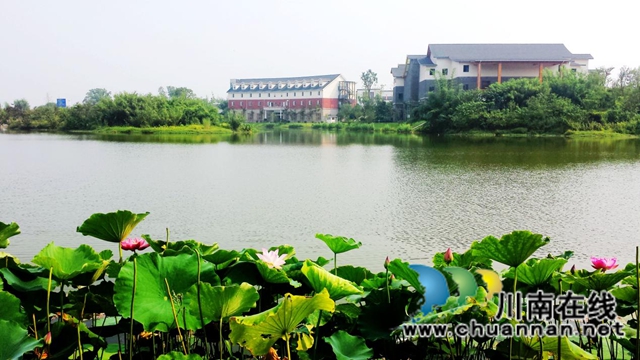 航空展翼聚人气 白酒飘香引客来——评2026四川白酒产业园区航空航天展促消费场景活动(图6) 6.jpg