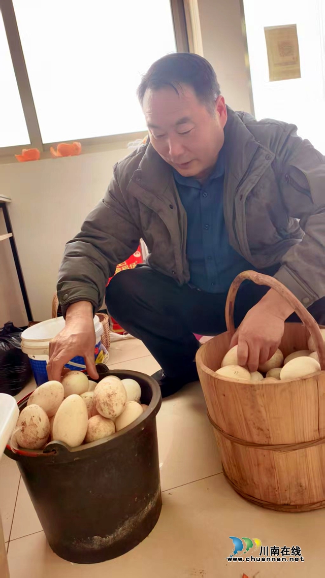 图3：清点鹅蛋.jpg