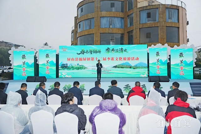 好漂亮!宜宾这里的十万亩李花盛开了(图1) 1.jpg