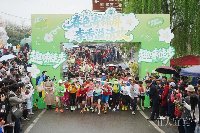 好漂亮!宜宾这里的十万亩李花盛开了(图3) 3.jpg