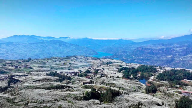 好漂亮!宜宾这里的十万亩李花盛开了(图11) 11.jpg