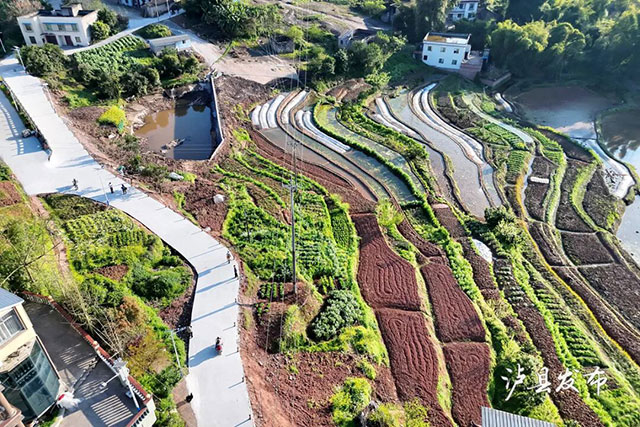 泸县乡贤捐10万+村民凑6万！这才是家乡该有的样子