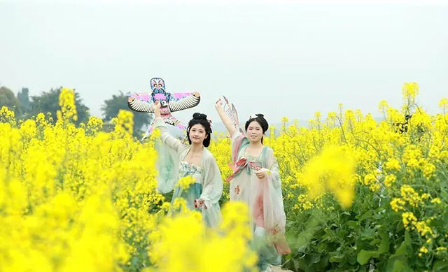 踏春赏花品茶！首选纳溪