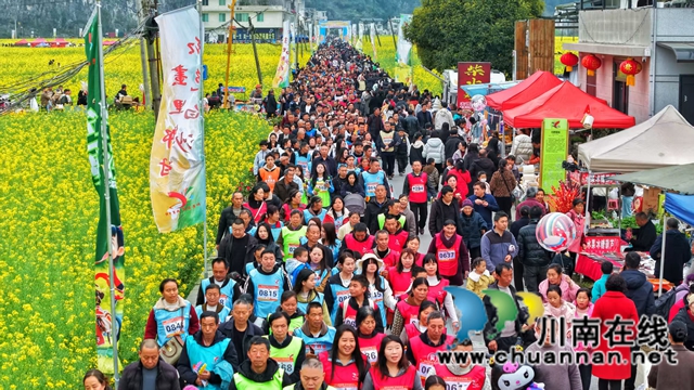 红色热土谱写文旅融合“春之信”！古蔺白沙场镇第十七届菜花文化旅游季盛大开幕