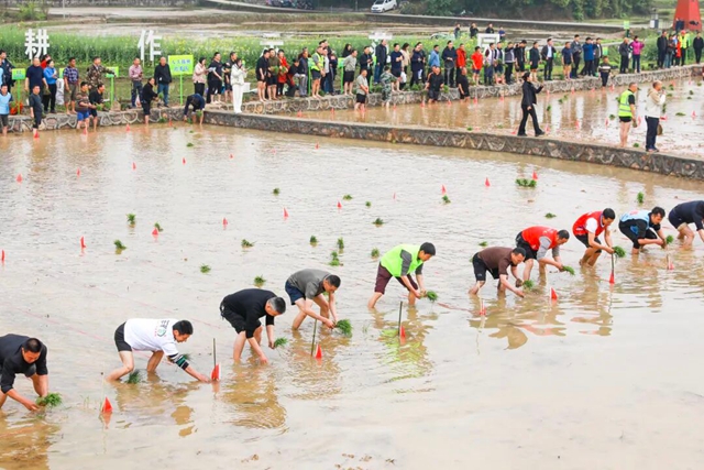 凭什么是合江？