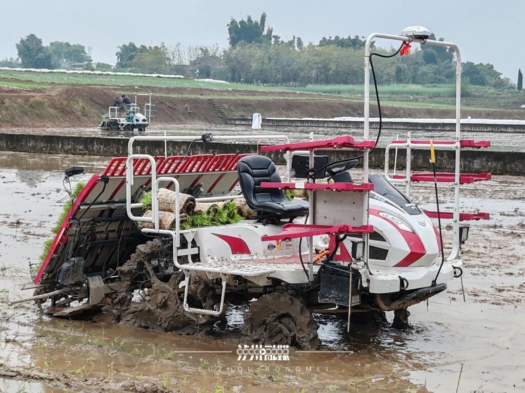 泸州用上了无人驾驶插秧机， 10分钟搞定一亩田，行距误差不超2.5厘米