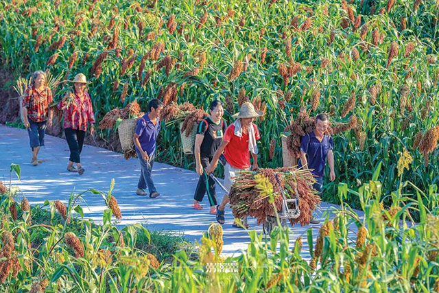 浓酱双优,何以泸州?(图2) 2.jpg
