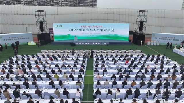 宜宾早茶市场热力“开局”，现场签约超800000000元