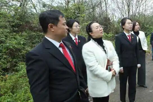 春耕不能等,代表委员来见证!龙马潭法院“谈”出土地复耕新希望(图1) 法1.jpg