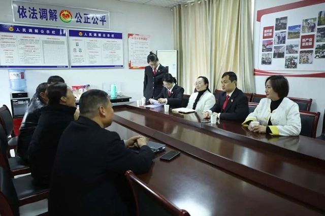 春耕不能等,代表委员来见证!龙马潭法院“谈”出土地复耕新希望(图2) 法2.jpg