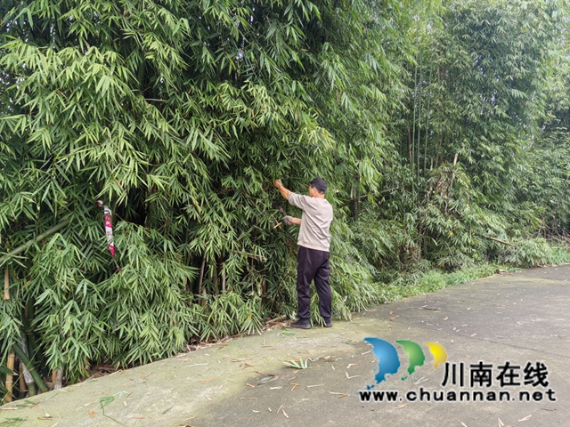 “剪”除隐患畅出行,美化乡村护平安|龙马潭区鱼塘街道王庄村开展道路树枝集中清理行动(图3) 微信图片_2026-03-26_143642_799.jpg