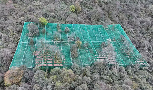 全国首个!“鸟中大熊猫”新家在宜宾落成(图2) 2.jpg