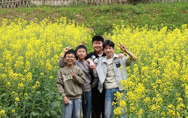 惊艳！合江这片金黄，是他们种的