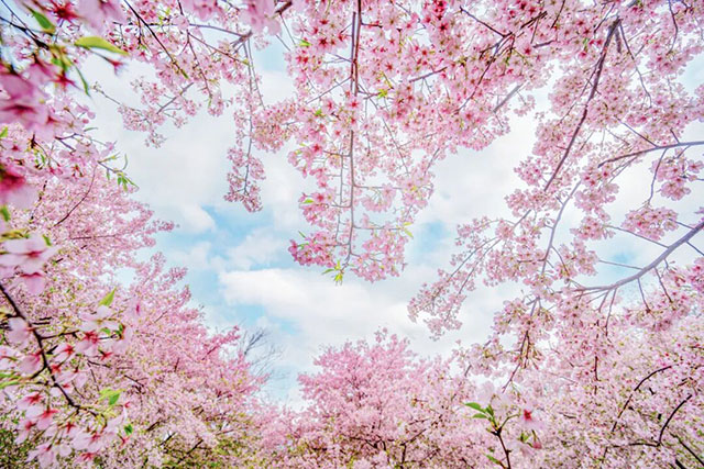 春假好去处!泸州市妇女儿童服务中心分忧托管让你春假无忧!(图6) 6.jpg