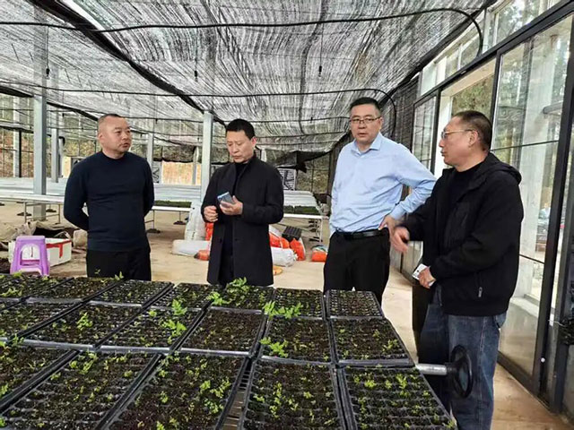 四川省天然林保护中心调研泸州天然林保护修复工作(图1) 1.jpg