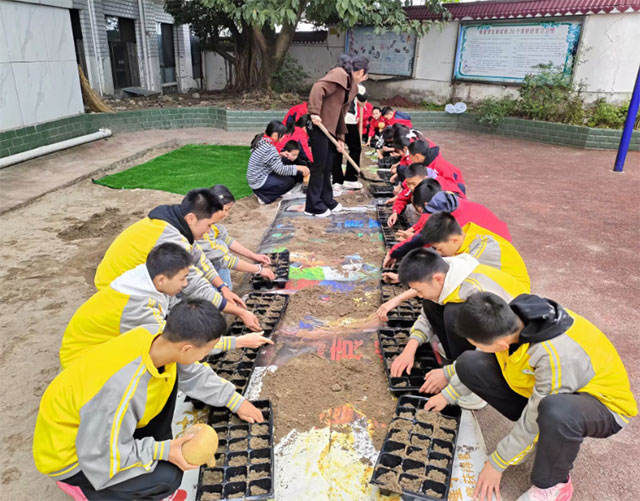 泸县牛滩镇玉峰学校:乡土育人的“葫芦密码”(图1) 1.jpg