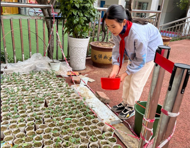 泸县牛滩镇玉峰学校:乡土育人的“葫芦密码”(图2) 2.jpg