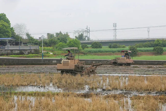 省心省力！泸县“田保姆”上线