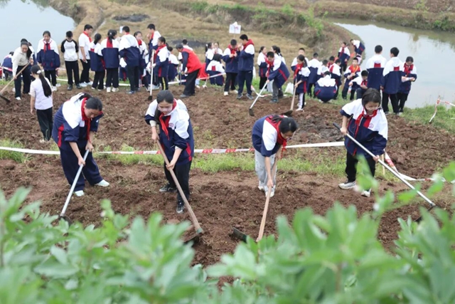 课还能这么上?龙马潭这所学校太会了→(图5) 5.jpg