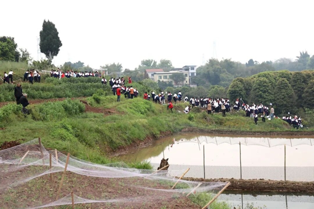 课还能这么上?龙马潭这所学校太会了→(图15) 15.jpg