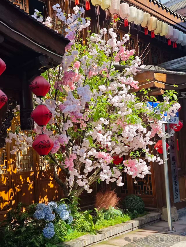 春日限定!老泸州·大河街换新装,风筝纱幔里的浪漫约会(图5) 5.jpg