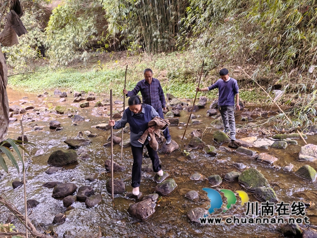 泸县喻寺镇新桥村惊现明代崇祯年间的养生洞石刻(图3) 寻找岩洞(曾佐然摄).jpg