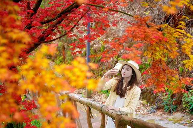 假期正当时！泸州“红黄CP”浪漫上线，打卡攻略一键收藏