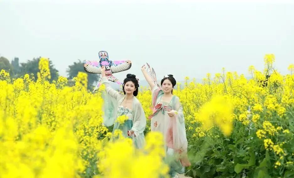 赴一场纳溪清明之约，吃一口故乡味，怀一份先人情