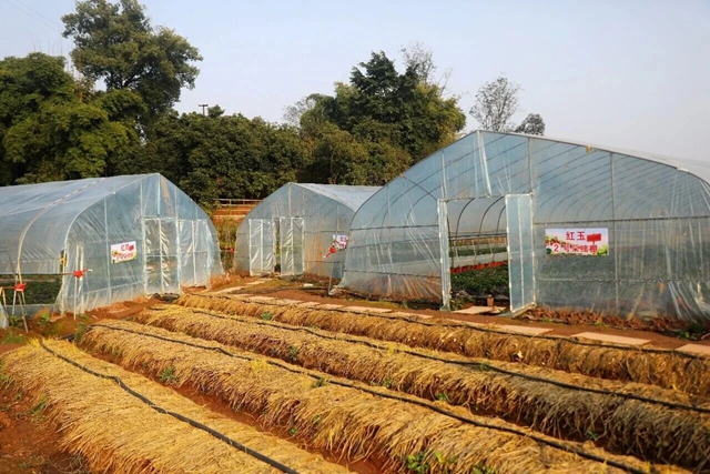 逃离城市计划 | 在泸州这个小镇,把日子过成一首田园诗(图25) 25.jpg