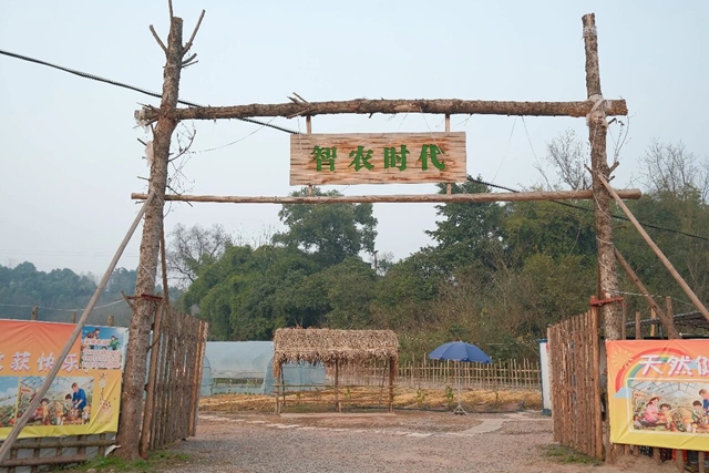 逃离城市计划 | 在泸州这个小镇,把日子过成一首田园诗(图24) 24.jpg