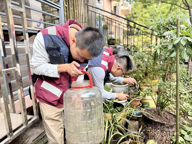 每年4至11月,泸州疾控人为何要跟蚊虫“斗智斗勇”?(图1) 1.jpg