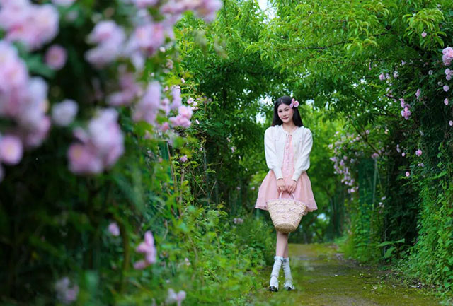 浪漫满屏，被泸州这两处蔷薇花海美到了