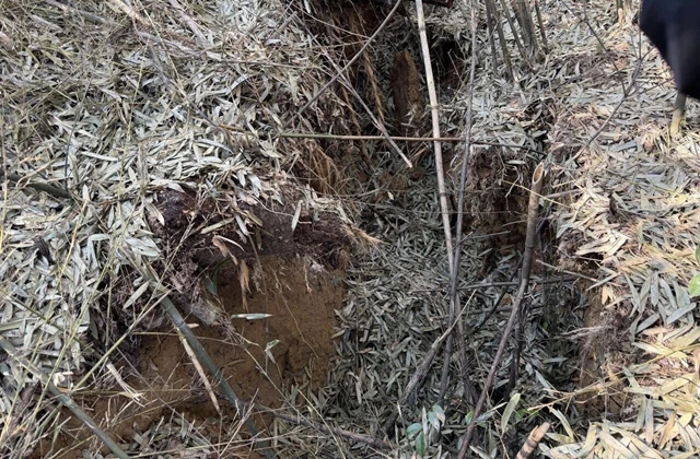 古蔺箭竹苗族乡：发现山体裂缝后果断转移2户9人