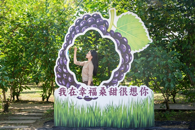 抠笋子、摘桑per……泸州的春天,太快乐了吧!(图1) 1.jpg