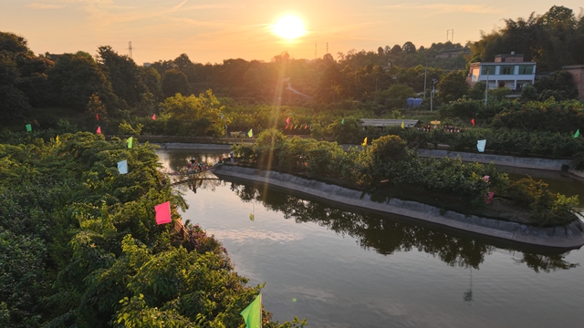 抠笋子、摘桑per……泸州的春天,太快乐了吧!(图15) 15.jpg