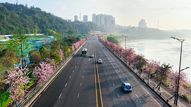 美到刷屏！龙马潭这条路藏不住了