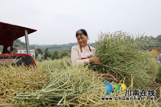 村民脸上洋溢着丰收的喜悦.JPG