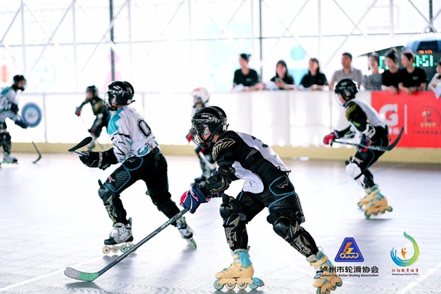 专业赋能！轮滑冰球裁判与社体指导员培训走进江阳