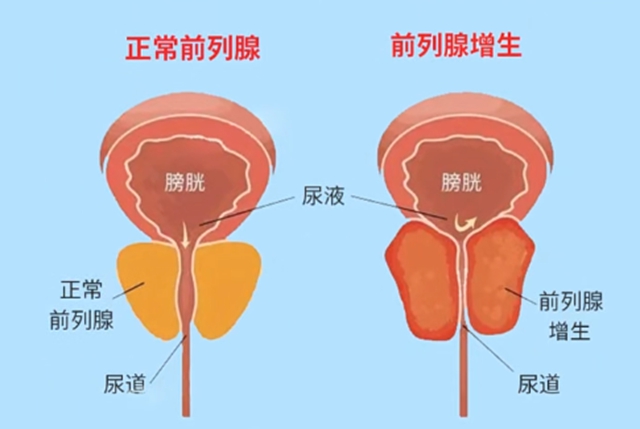 道1.jpg