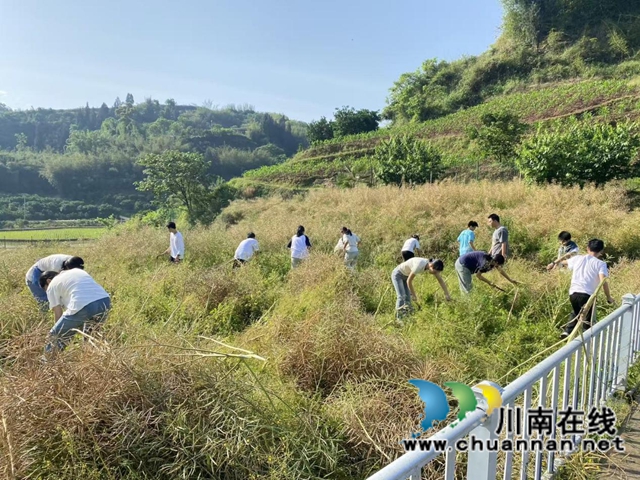 美育润心田 劳作获真知｜纳溪区护国中学以画笔和汗水致敬油菜花与果实的双重礼赞