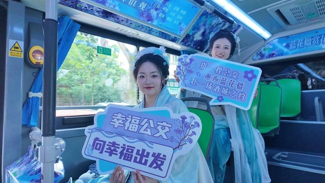 公交5.jpg