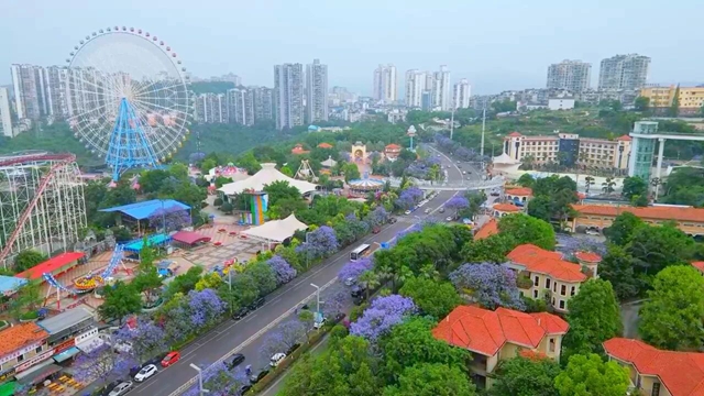 公交11.jpg
