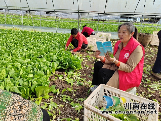 学习种植技术.jpg